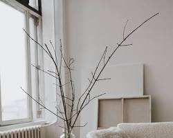standard residential cleaning